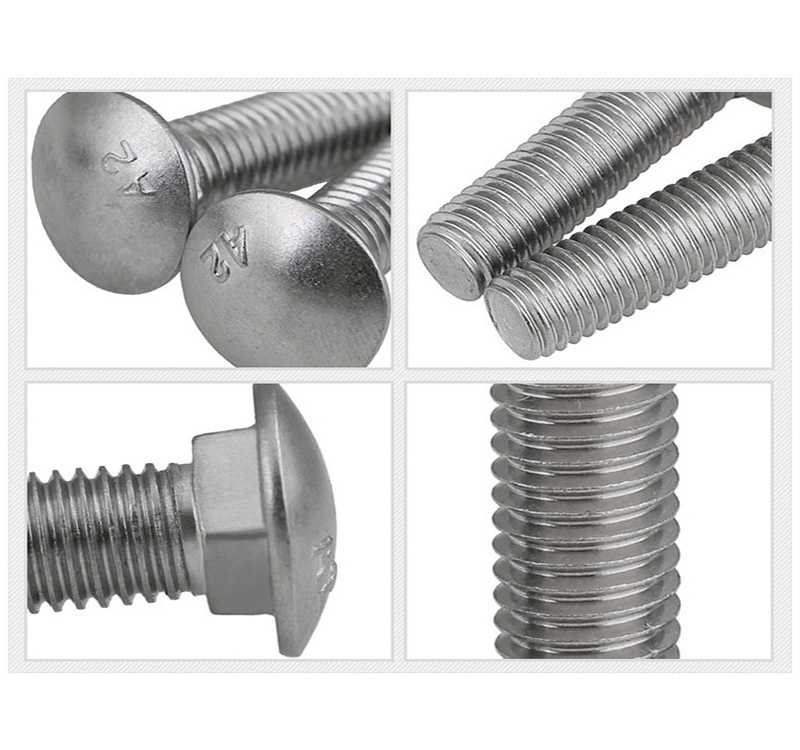 Carriage Bolt Stainless Steel 10