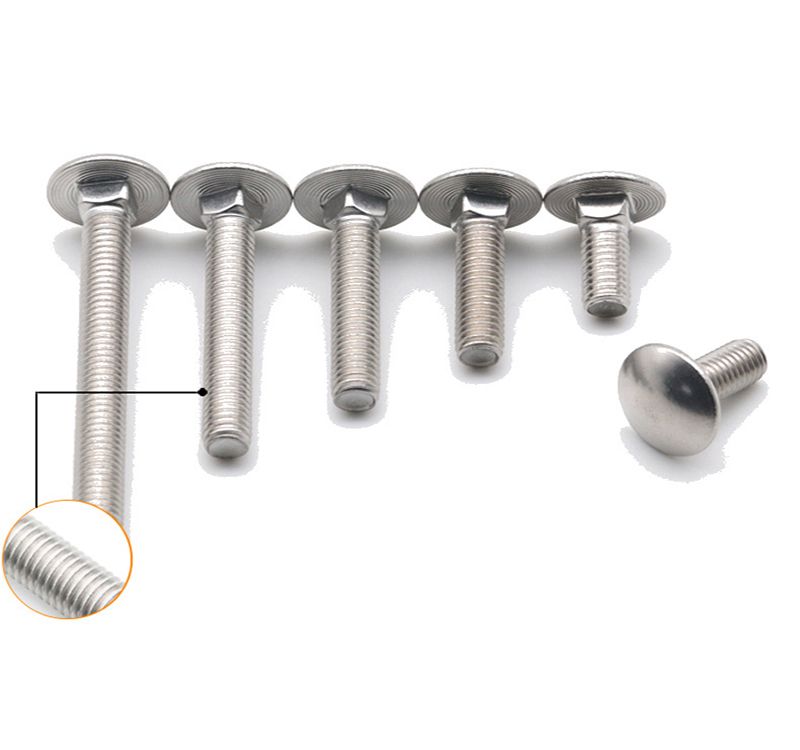 Carriage Bolt Stainless Steel 11