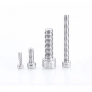 SUS 304 Stainless steel 304 DIN912 hex socket cup head screw